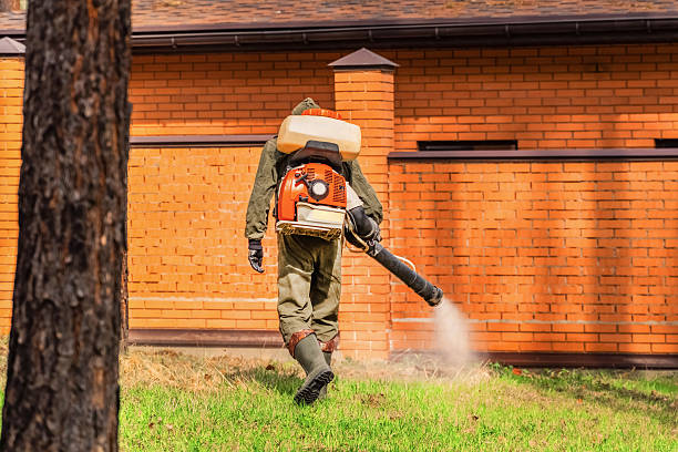 Trusted Rodent Control service in Lincolnwood, IL - Nex Pest Control